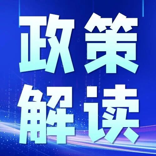 双减风口下，少儿编程为啥火遍家长圈？